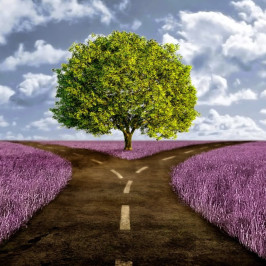In-House vs. Agencia: Habilidad & Experiencia